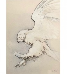 Elaine Franks Artwork - Original Picture In Mixed Media On Mixed Media On Canson Mi-teintes - 'Snowy Owl Study;